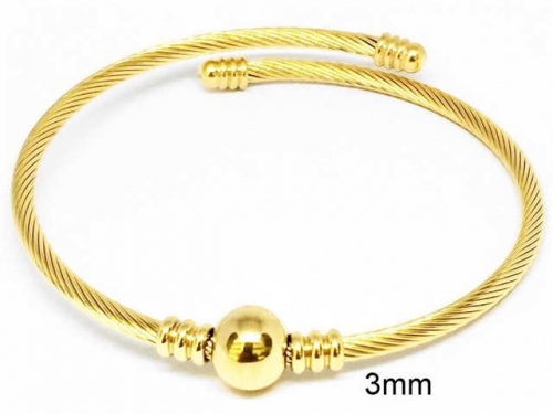 BC Wholesale Bangles Jewelry Stainless Steel 316L Bangle NO.#SJ93B123
