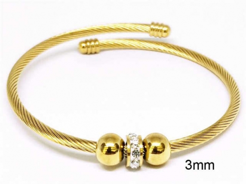 BC Wholesale Bangles Jewelry Stainless Steel 316L Bangle NO.#SJ93B035