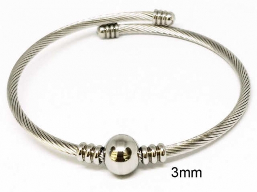 BC Wholesale Bangles Jewelry Stainless Steel 316L Bangle NO.#SJ93B124