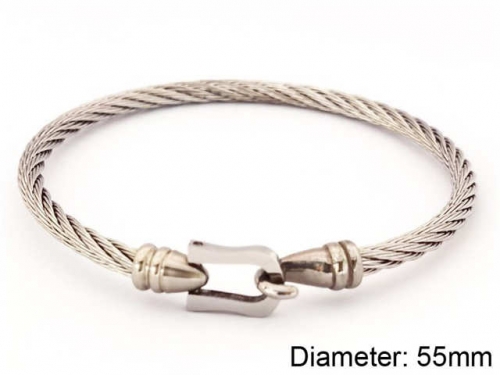 BC Wholesale Bangles Jewelry Stainless Steel 316L Bangle NO.#SJ93B051