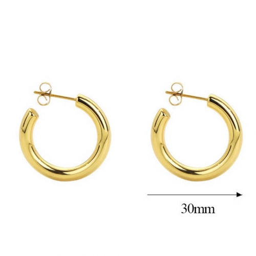 BC Wholesale Earrings Jewelry Stainless Steel 316L Popular Earrings NO.#SJ47EB12