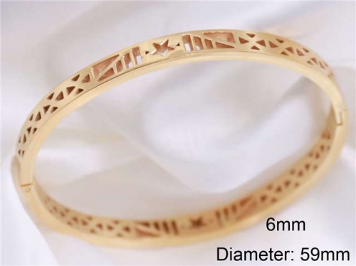 BC Wholesale Bangles Jewelry Stainless Steel 316L Bangle NO.#SJ124B264