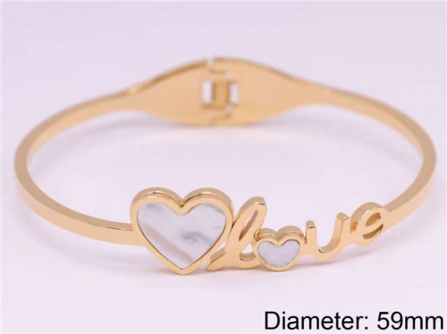 BC Wholesale Bangles Jewelry Stainless Steel 316L Bangle NO.#SJ124B034