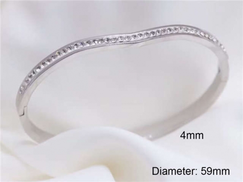 BC Wholesale Bangles Jewelry Stainless Steel 316L Bangle NO.#SJ124B248