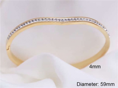 BC Wholesale Bangles Jewelry Stainless Steel 316L Bangle NO.#SJ124B249