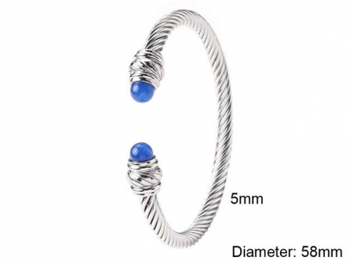 BC Wholesale Bangles Jewelry Stainless Steel 316L Bangle NO.#SJ125B130