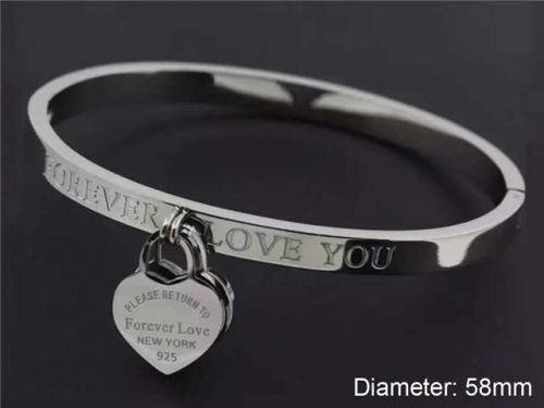 BC Wholesale Bangles Jewelry Stainless Steel 316L Bangle NO.#SJ18B039