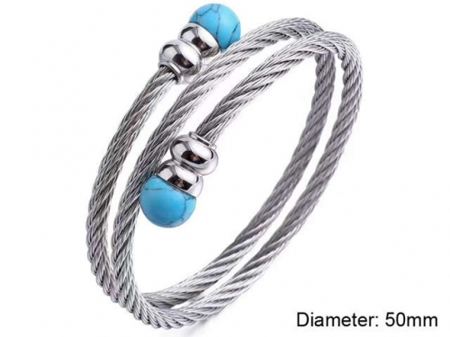 BC Wholesale Bangles Jewelry Stainless Steel 316L Bangle NO.#SJ125B144