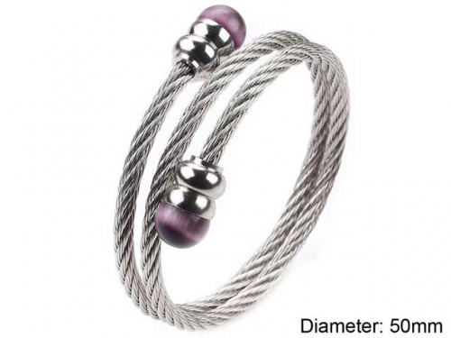 BC Wholesale Bangles Jewelry Stainless Steel 316L Bangle NO.#SJ125B147