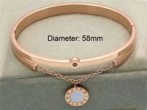 BC Wholesale Bangles Jewelry Stainless Steel 316L Bangle NO.#SJ18B319