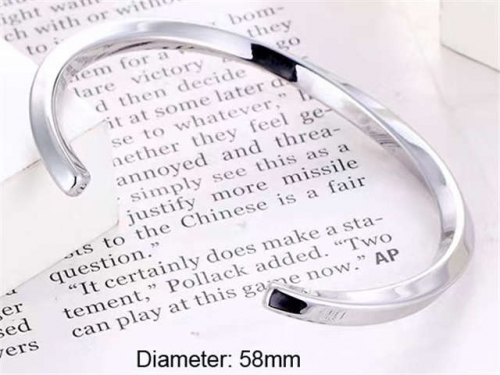 BC Wholesale Bangles Jewelry Stainless Steel 316L Bangle NO.#SJ18B075