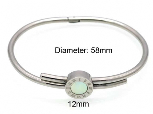 BC Wholesale Bangles Jewelry Stainless Steel 316L Bangle NO.#SJ18B287