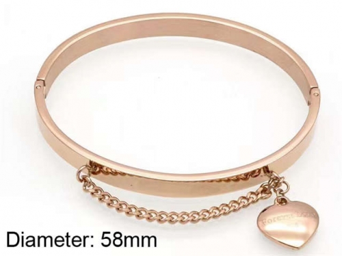 BC Wholesale Bangles Jewelry Stainless Steel 316L Bangle NO.#SJ18B106