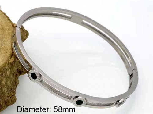 BC Wholesale Bangles Jewelry Stainless Steel 316L Bangle NO.#SJ18B177