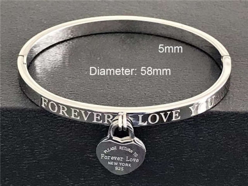 BC Wholesale Bangles Jewelry Stainless Steel 316L Bangle NO.#SJ18B058