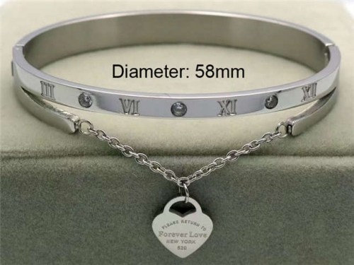 BC Wholesale Bangles Jewelry Stainless Steel 316L Bangle NO.#SJ18B308