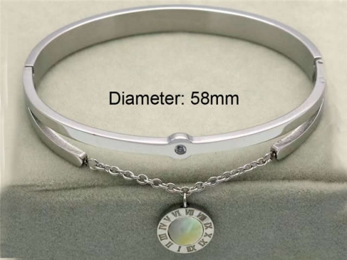 BC Wholesale Bangles Jewelry Stainless Steel 316L Bangle NO.#SJ18B320