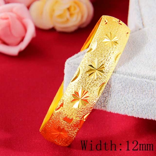 BC Wholesale 24K Gold Jewelry Women's Bangles Cheap Jewelry Alluvial Gold Jewelry Bangles NO.#CJ4BS85456513132