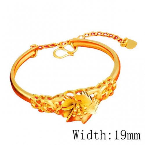 BC Wholesale 24K Gold Jewelry Women's Bangles Cheap Jewelry Alluvial Gold Jewelry Bangles NO.#CJ4BAY002588