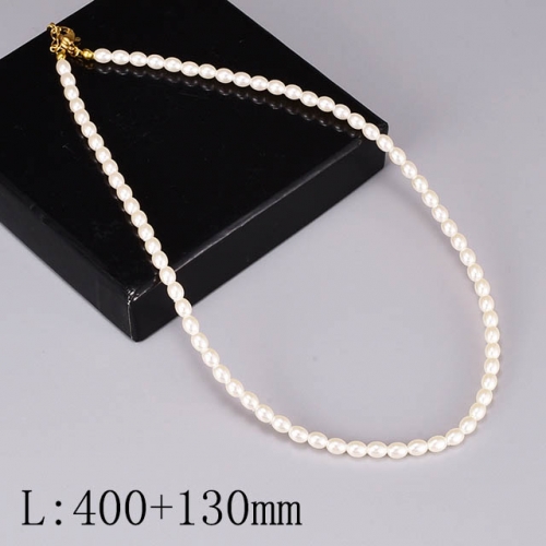 BC Wholesale Necklace Jewelry Stainless Steel 316L Fashion Necklace NO.#SJ63NE234