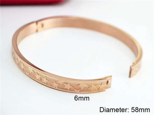 BC Wholesale Bangles Jewelry Stainless Steel 316L Bracelet NO.#SJ140B147