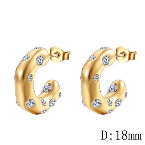 BC Wholesale Earrings Jewelry Stainless Steel 316L Earrings NO.#SJ142EA059