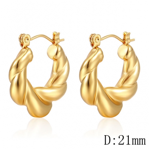 BC Wholesale Earrings Jewelry Stainless Steel 316L Earrings NO.#SJ142EA140