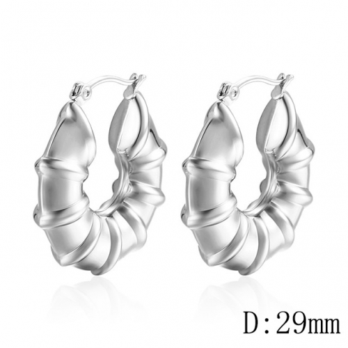 BC Wholesale Jewelry Earrings Stainless Steel 316L Jewelry Earrings NO.#SJ142E004