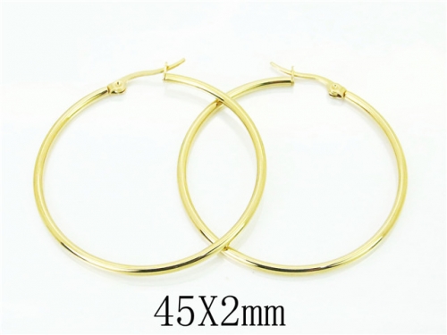 BC Wholesale Jewelry Earrings Stainless Steel 316L Earrings NO.#BC58E1750HO