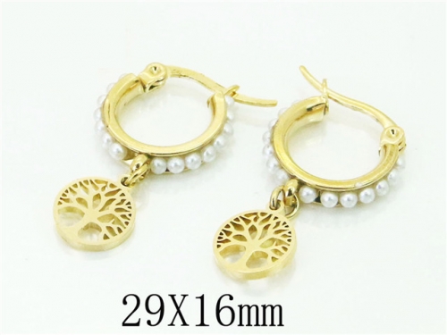 BC Wholesale Jewelry Earrings Stainless Steel 316L Earrings NO.#BC58E1797KQ