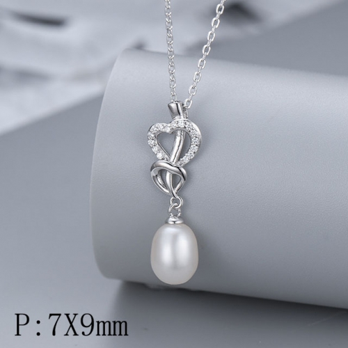 BC Wholesale 925 Silver Pendant Good Quality Silver Pendant Without Chain NO.#925J9P1586