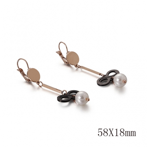 BC Wholesale Jewelry Earrings 316L Stainless Steel Earrings NO.#SJ113E86835