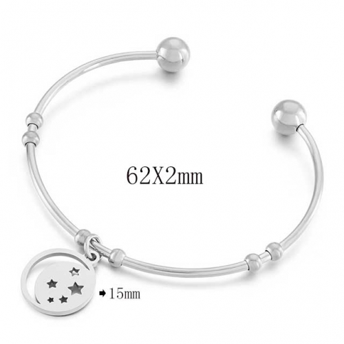 BC Wholesale Bangles Jewelry Stainless Steel 316L Bangle NO.#SJ113B152710