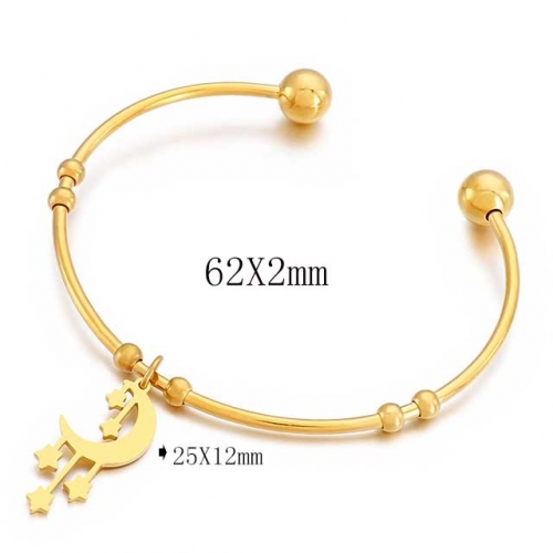 BC Wholesale Bangles Jewelry Stainless Steel 316L Bangle NO.#SJ113B155755