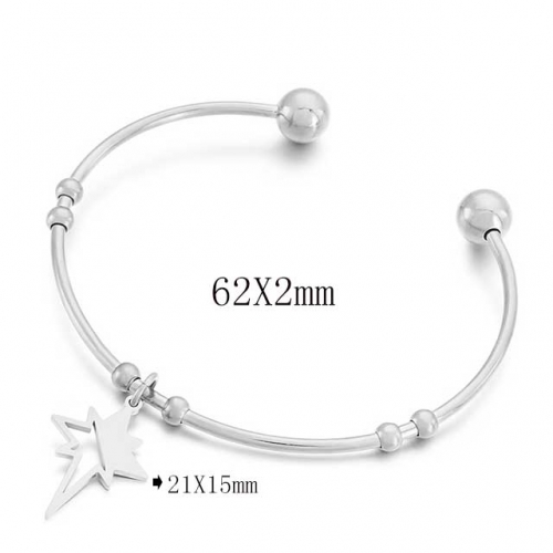 BC Wholesale Bangles Jewelry Stainless Steel 316L Bangle NO.#SJ113B155763