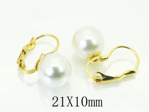 BC Wholesale Jewelry Earrings 316L Stainless Steel Earrings NO.#BC21E0145IL
