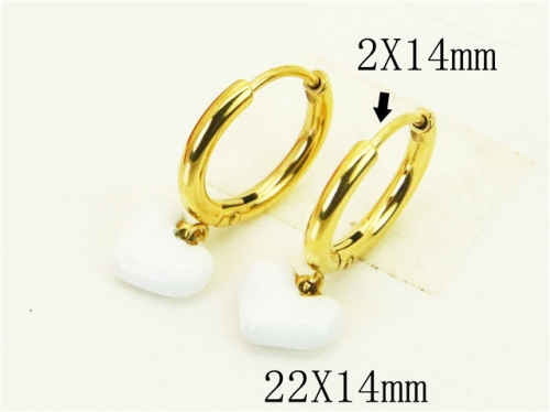 BC Wholesale Jewelry Earrings 316L Stainless Steel Earrings Or Studs NO.#BC06E0346NA