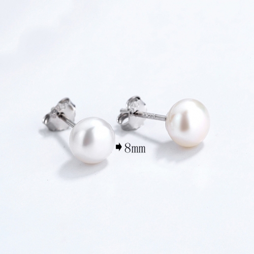 BC Wholesale 925 Sterling Silver Jewelry Earrings Good Quality Earrings NO.#925SJ8E2A63319