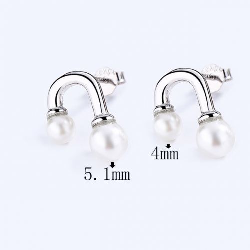 BC Wholesale 925 Sterling Silver Jewelry Earrings Good Quality Earrings NO.#925SJ8EA4809