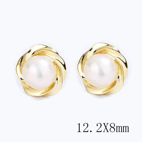 BC Wholesale 925 Sterling Silver Jewelry Earrings Good Quality Earrings NO.#925SJ8E1A5503