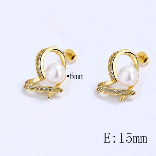 BC Wholesale 925 Sterling Silver Jewelry Earrings Good Quality Earrings NO.#925SJ8E1A4309