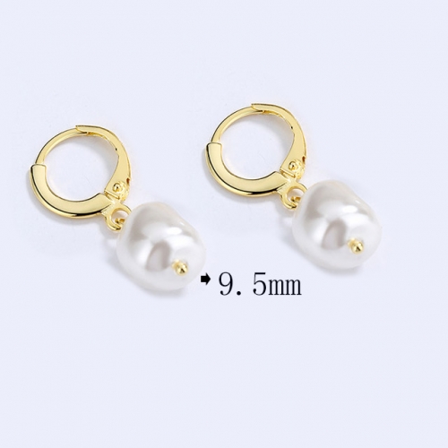 BC Wholesale 925 Sterling Silver Jewelry Earrings Good Quality Earrings NO.#925SJ8E1A3411