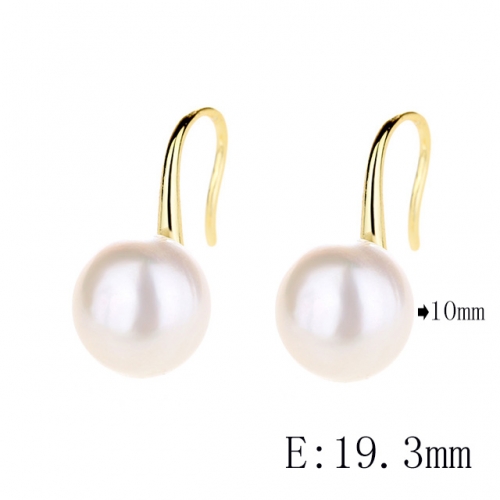 BC Wholesale 925 Sterling Silver Jewelry Earrings Good Quality Earrings NO.#925SJ8E3A2610