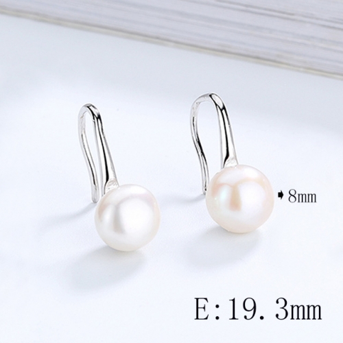 BC Wholesale 925 Sterling Silver Jewelry Earrings Good Quality Earrings NO.#925SJ8EA2610