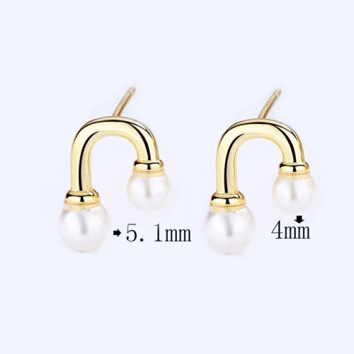 BC Wholesale 925 Sterling Silver Jewelry Earrings Good Quality Earrings NO.#925SJ8E1A4809