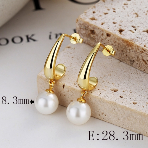 BC Wholesale 925 Sterling Silver Jewelry Earrings Good Quality Earrings NO.#925SJ8E1A4018