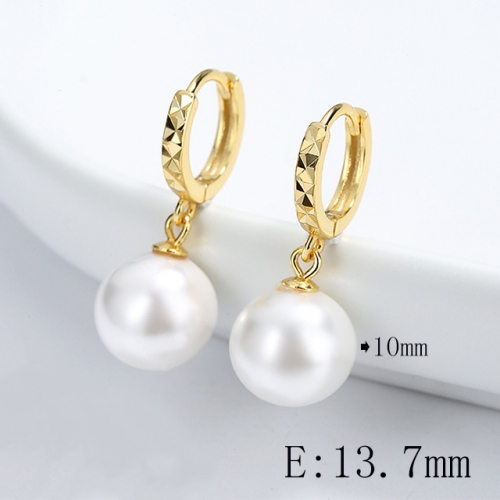 BC Wholesale 925 Sterling Silver Jewelry Earrings Good Quality Earrings NO.#925SJ8E4A366