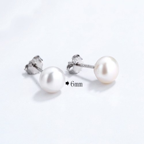 BC Wholesale 925 Sterling Silver Jewelry Earrings Good Quality Earrings NO.#925SJ8E1A63319