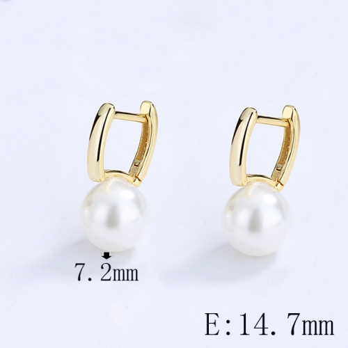 BC Wholesale 925 Sterling Silver Jewelry Earrings Good Quality Earrings NO.#925SJ8E1A4006