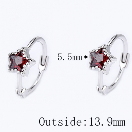 BC Wholesale 925 Sterling Silver Jewelry Earrings Good Quality Earrings NO.#925SJ8E3A5518